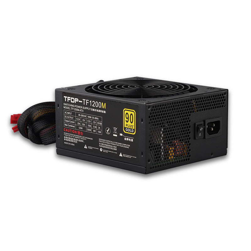 Fuente de alimentación de 1200 W (2)